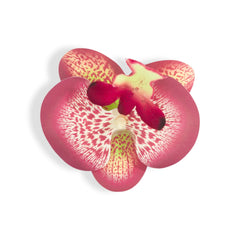 ORCHID FLOWER BURGUNDY